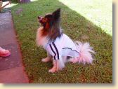 DSC01035.jpg