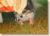 DSC01036.jpg