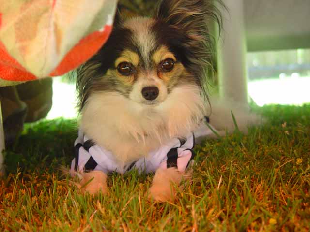 DSC01037.jpg