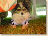 DSC01037.jpg