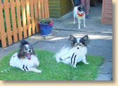 DSC01038.jpg