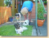 DSC01040.jpg