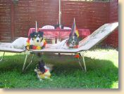 DSC01084.jpg