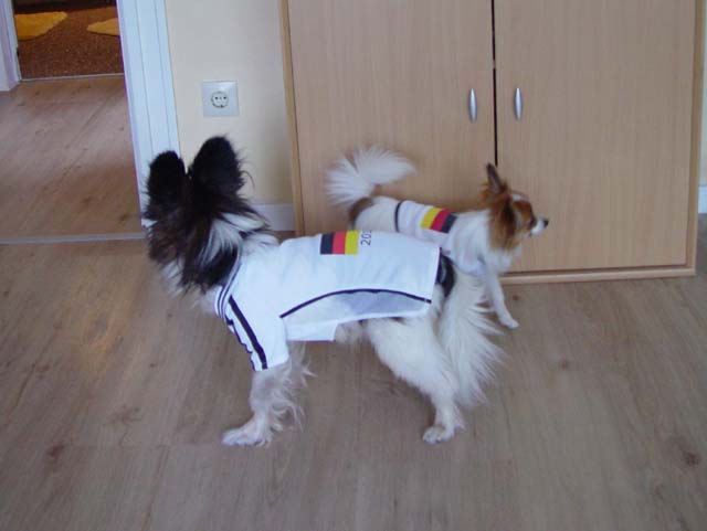 DSC02650.jpg
