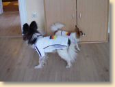DSC02650.jpg