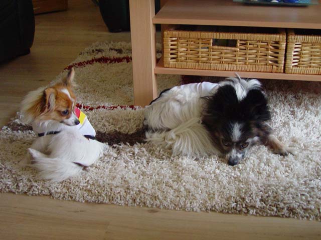 DSC02656.jpg