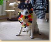 DSC02662.jpg