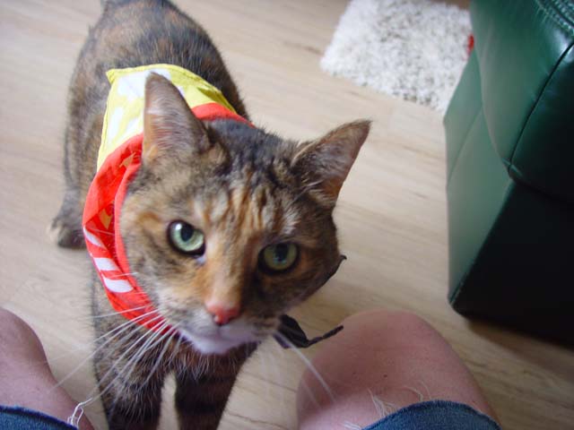 DSC02667.jpg