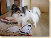 DSC02671.jpg