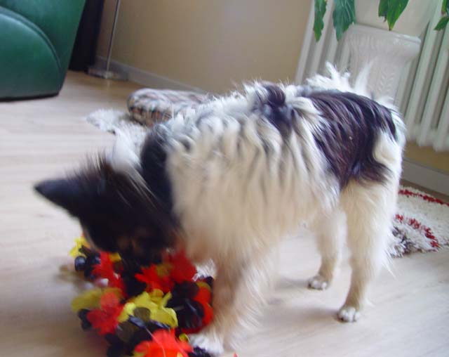 DSC02673.jpg