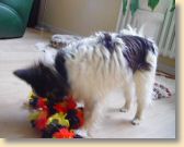 DSC02673.jpg