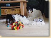 DSC02683.jpg