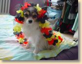DSC02687.jpg