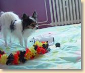 DSC02692.jpg