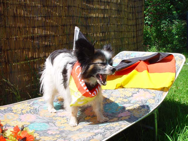 DSC02712.jpg
