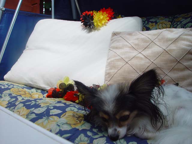 DSC02723.jpg