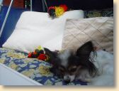 DSC02723.jpg