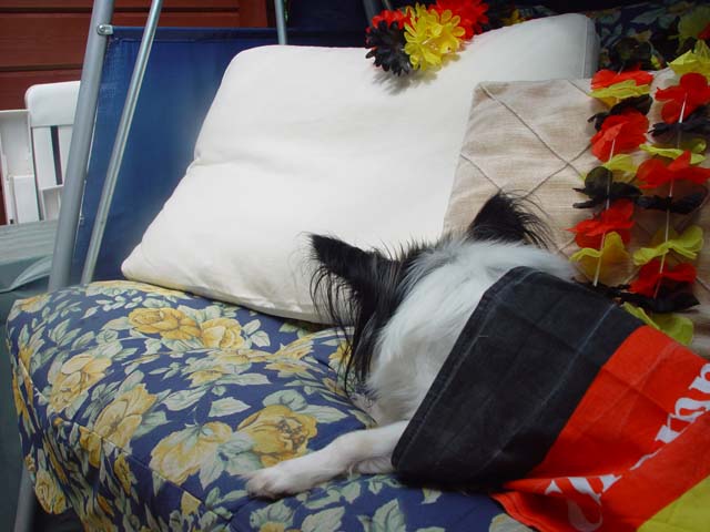 DSC02724.jpg