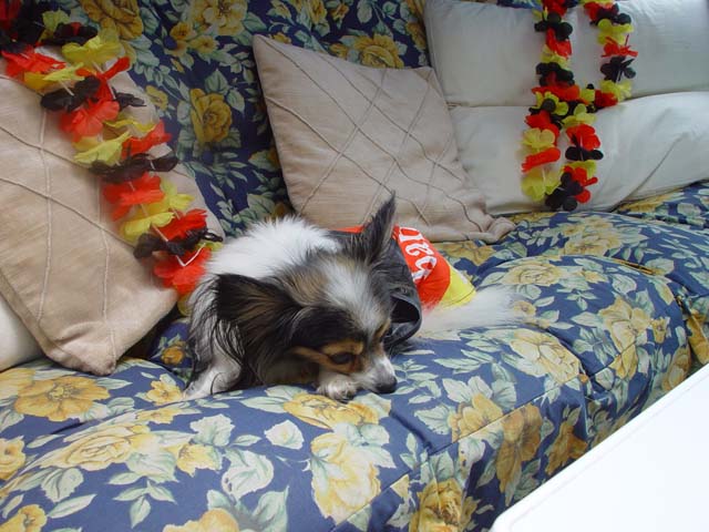 DSC02725.jpg