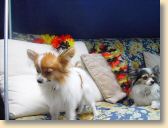 DSC02726.jpg