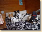 DSC02730.jpg