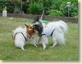 DSC02745.jpg