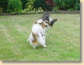 DSC02747.jpg