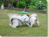 DSC02750.jpg