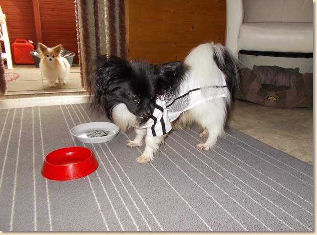 DSCN0601.jpg