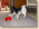 DSCN0601.jpg