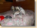 DSCN0604.jpg