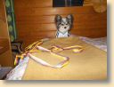 DSCN0607.jpg