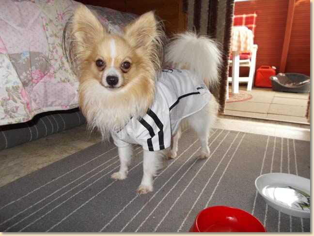 DSCN0609.jpg