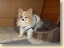 DSCN0610.jpg