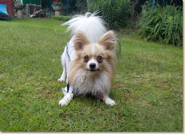 DSCN0615.jpg