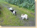DSCN0618.jpg