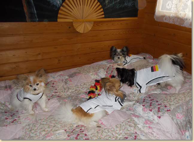 Bild71.jpg
