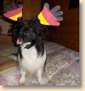 DSCN0560.jpg