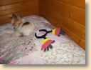 DSCN0562.jpg