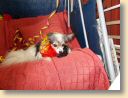 DSCN0563.jpg