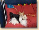 DSCN0568.jpg