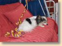 DSCN0569.jpg