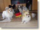 DSCN0573.jpg
