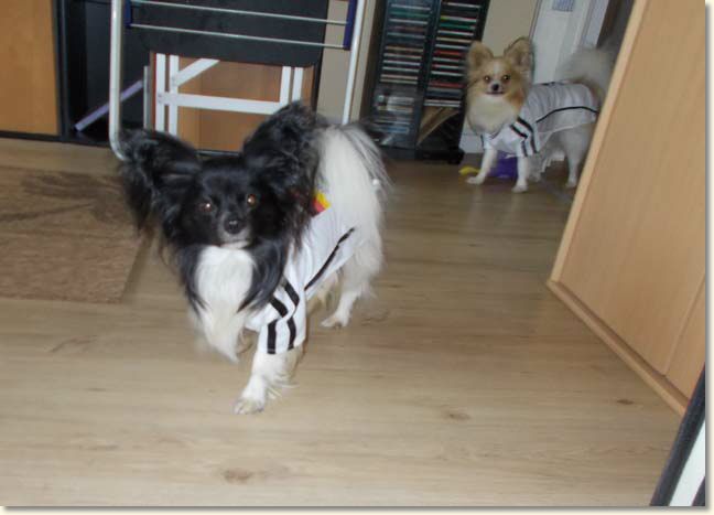 DSCN0581.jpg
