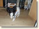 DSCN0581.jpg