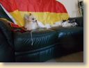 DSCN0596.jpg