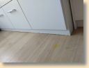 IMG_20190710_113949957.jpg