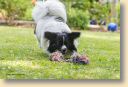 006A9443-fotoks.jpg
