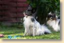 006A9460-fotoks.jpg