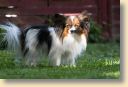 006A9464-fotoks.jpg